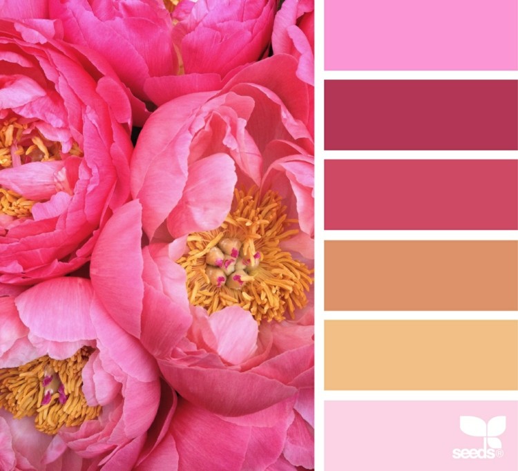 couleur-rose-fuchsia-nuancier-couleurs-rose-beige