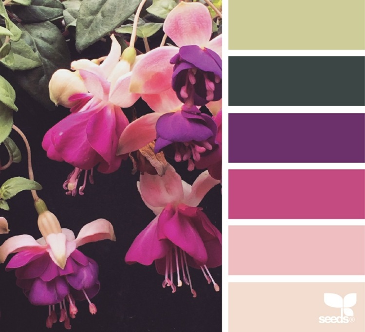 couleur-rose-fuchsia-nuancier-couleurs-rose-vert-lilas