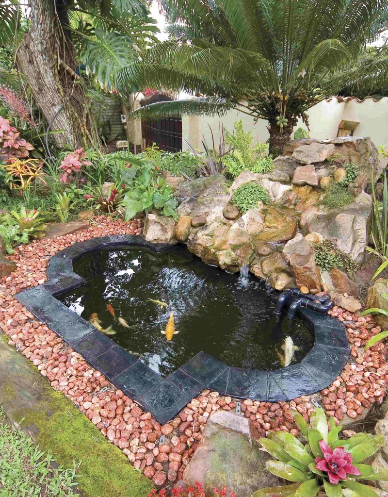 mini-bassin-poisson-ornemental-carpe-koi-jardin-rocaille