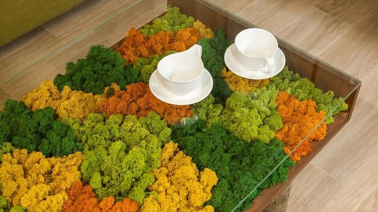 La mousse végétale en déco indoor & outdoor en 30 idées ... Inspiration Vegetal plafond