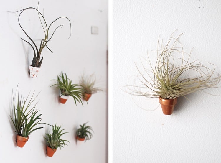 plantes-epiphytes-deco-murale-diy-idees-pots-cuivres