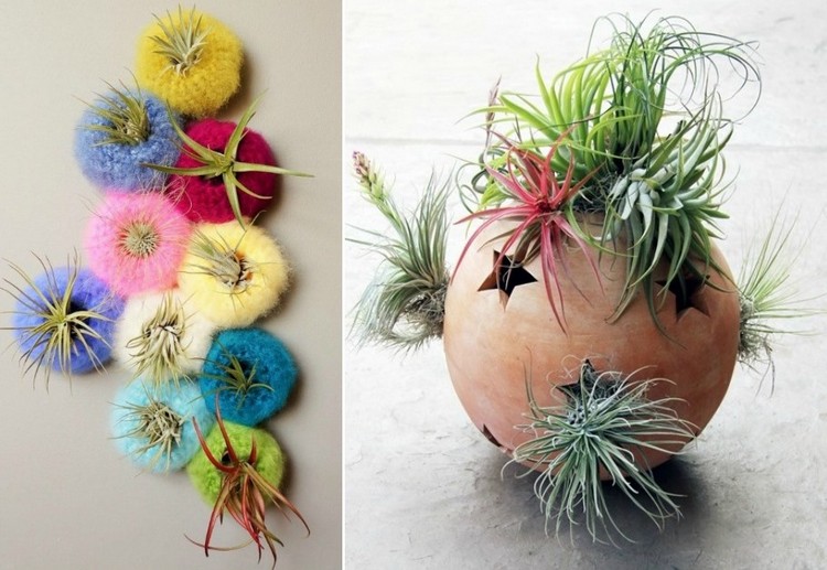 plantes-epiphytes-pots-design-esprit-cosy-pot-spherique-etoiles-decoupees