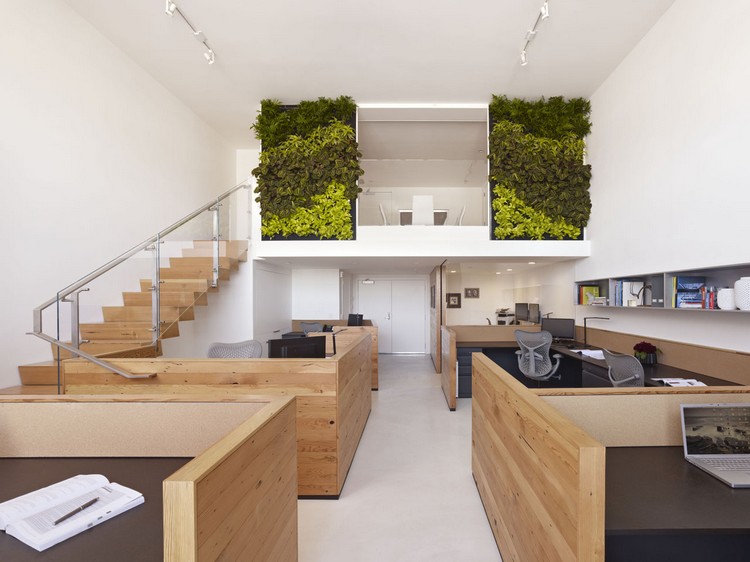 air-pur-maison-bureau-éclogique-environnement-mur-végétal