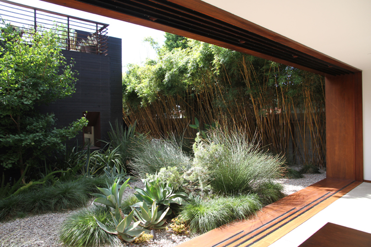 baie-vitree-coulissante-jardin-graminees-concept-jardin-rocaille