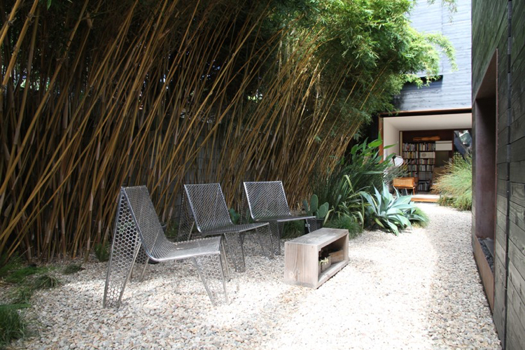 baie-vitree-coulissante-jardin-plantes-exotiques-bambous-meubles-design