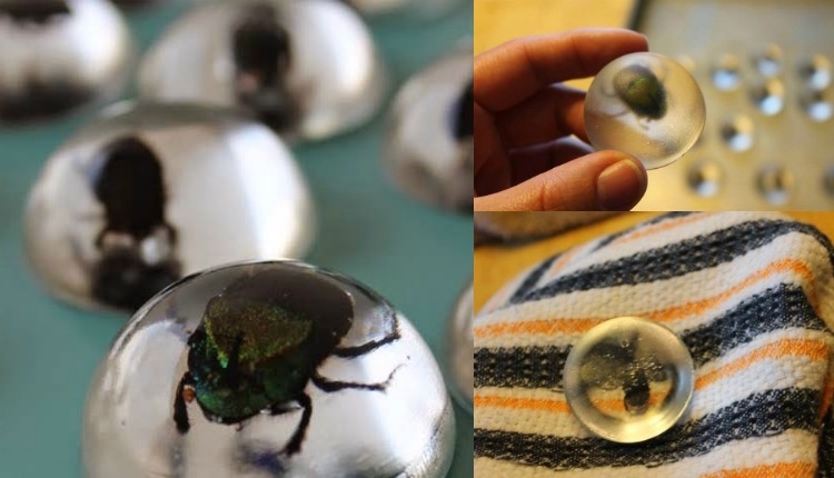 objets-decoration-bijoux-resine-faire-soi-meme-inclusion-insectes