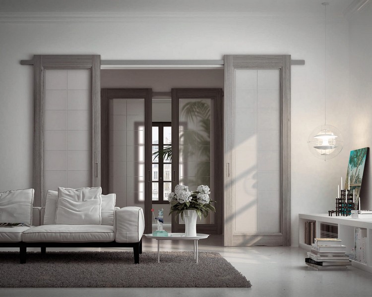 porte d'intérieur sobre-verre-opaque-gris-bois-tapis
