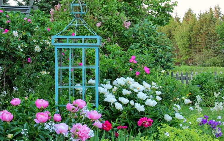 creer-jardin-romantique-idees-fleurs-multicolores-suppoty