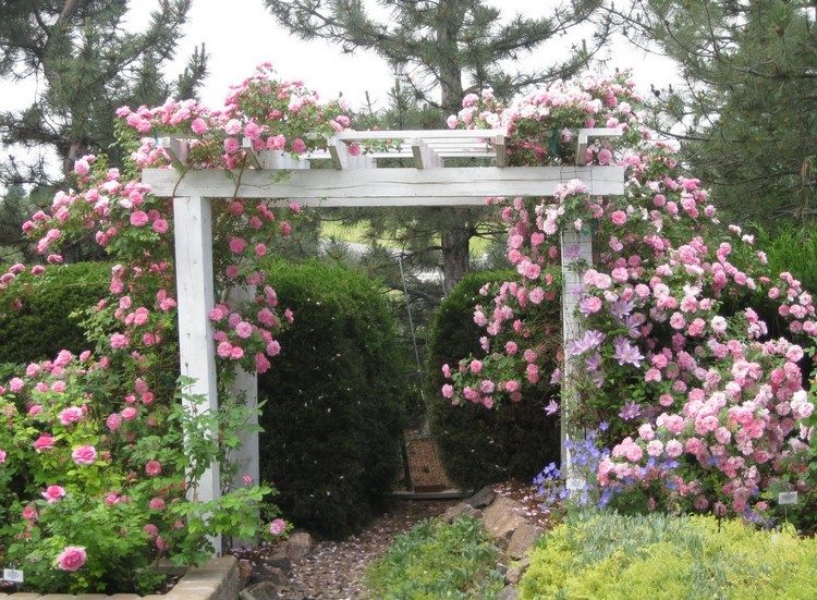 créer-jardin-romantique-portique-bois-roses-pâles