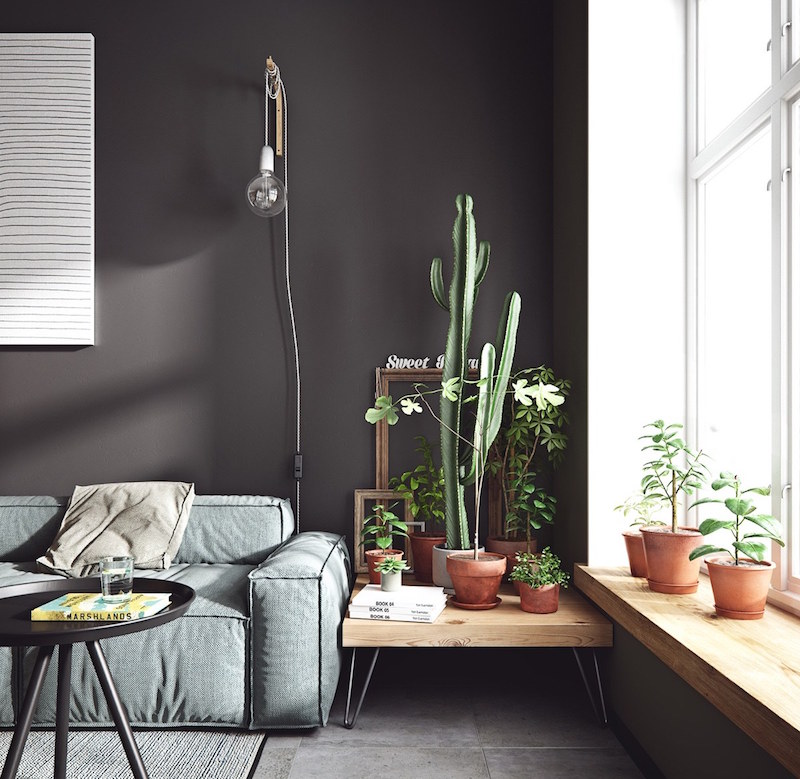 decoration-salon-scandinave-noir-blanc-plantes-pots-terre-cuite