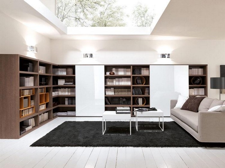 meuble-tv-bibliotheque-tapis-noir-canape-gris-perle-plafond-vitre