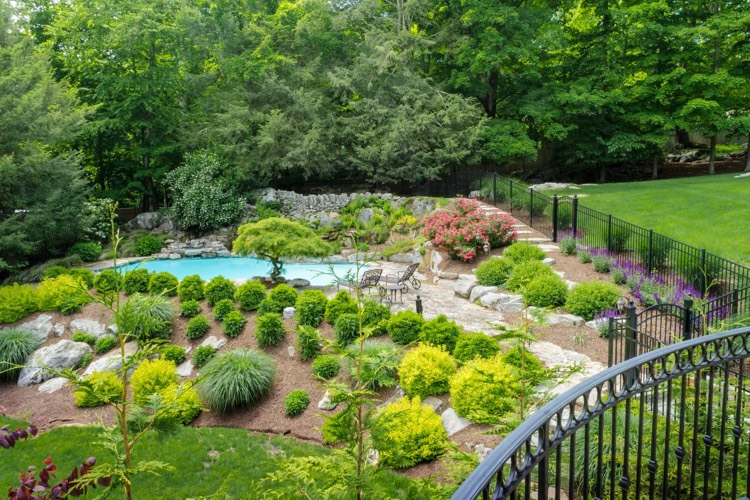 amenagement-de-jardin-moderne-piscine-enterreee-graminees-ornement-arbustes-cloture-metal