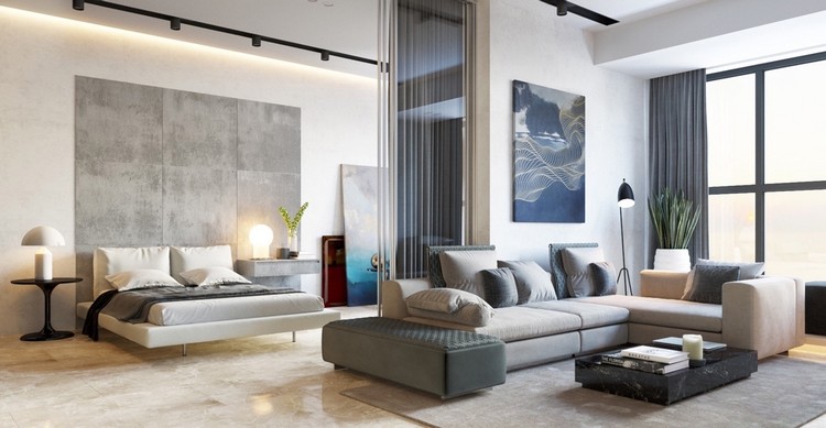 aménagement petit appartement baies-vitrees-mur-beton-canape-gris