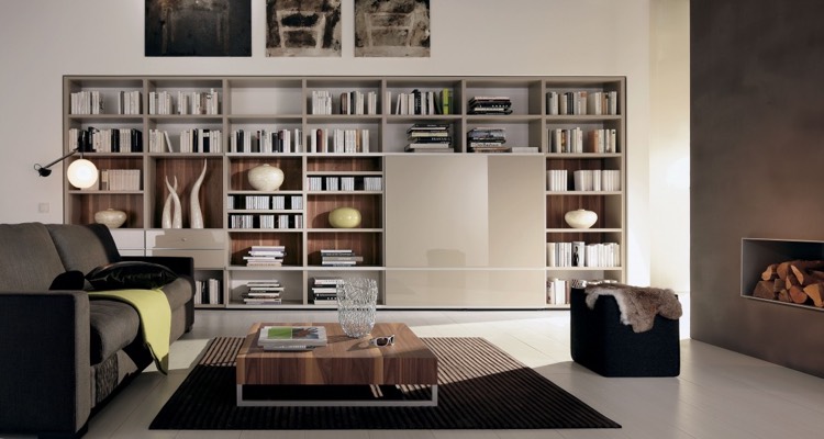 bibliotheque-moderne-bois-laque-beige-cheminee-insert-canape-gris