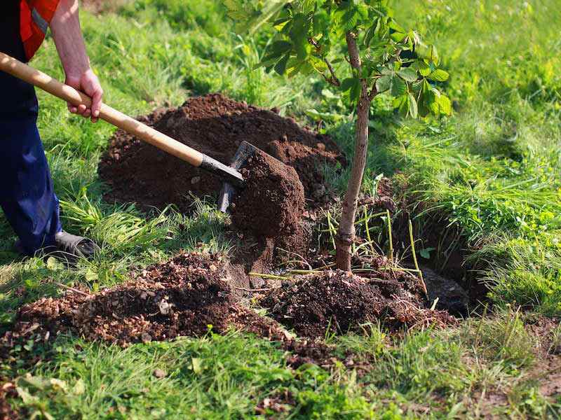 calendrier du jardinier