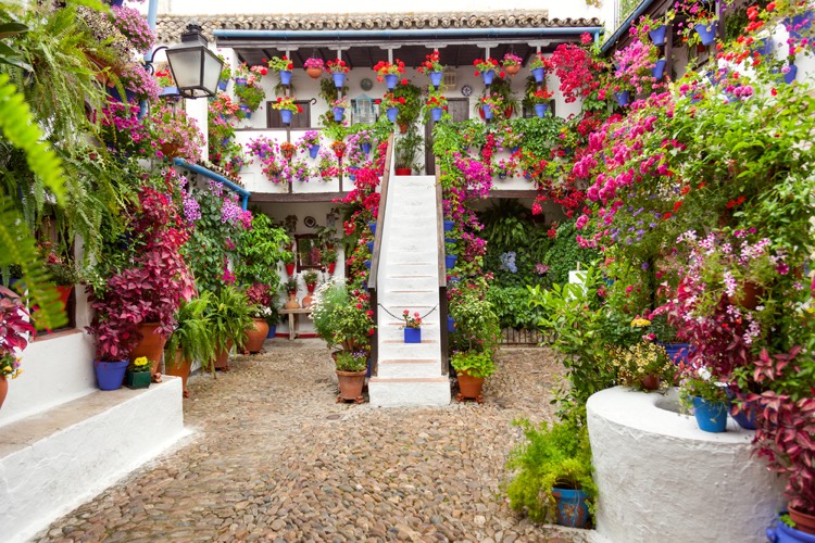 decoration-mur-exterieur-jardin-vertical-fleuri-style-mediterraneen