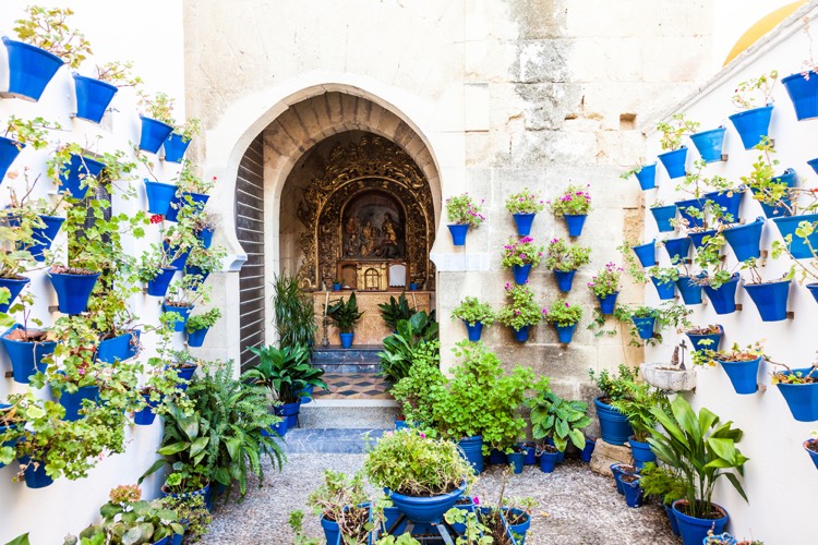 decoration-mur-exterieur-jardin-vertical-geraniums-pots-bleu-cobalt