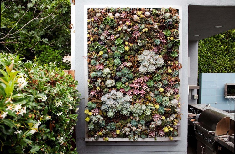 decoration-mur-exterieur-mur-vegetal-plantes-succulentes