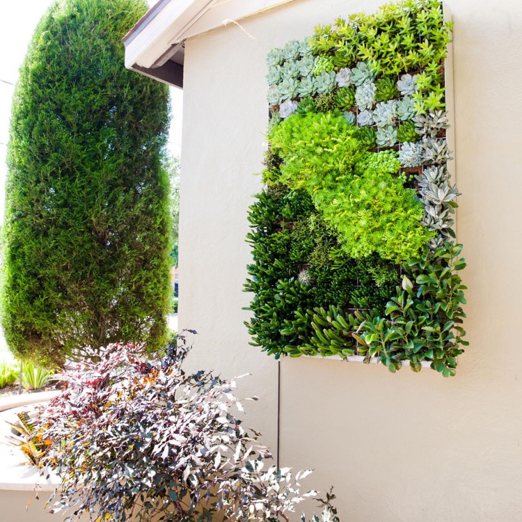 decoration-mur-exterieur-tableau-vivant-plantes-succulentes-deco-facade