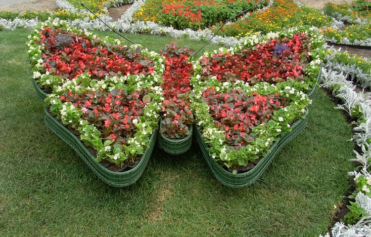 idee-genie-jardin-parterre-forme-papillon-fleurs-rouges