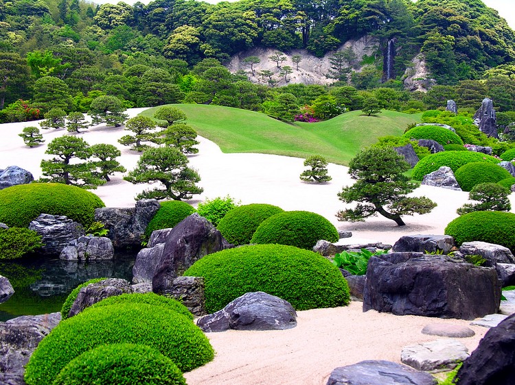 jardins-japonais-bonsais-idees-buis-arbustes-gravier