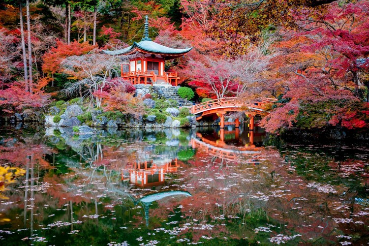 16) Jardin japonais miniature (Créer un jardin…