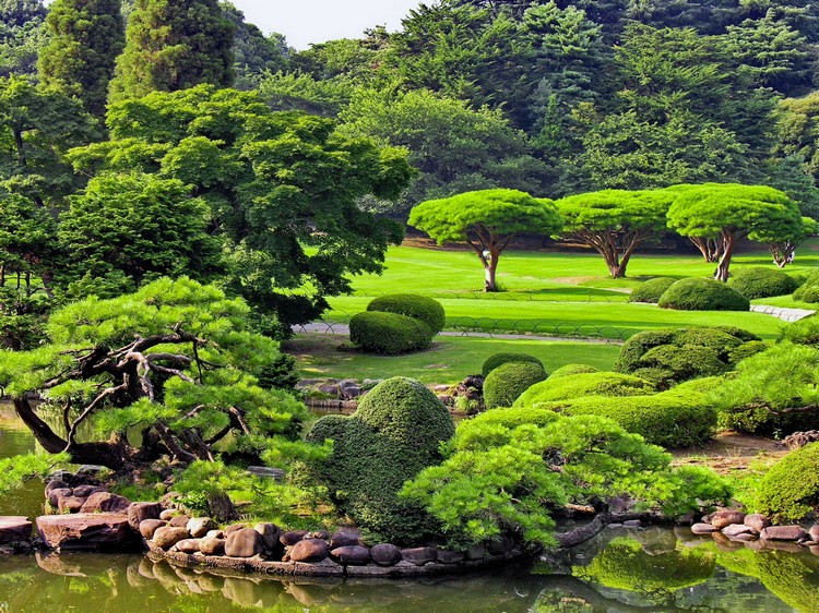 jardins-japonais-idees-amenagement-bassin-arbres-bonsais-bassin-deco