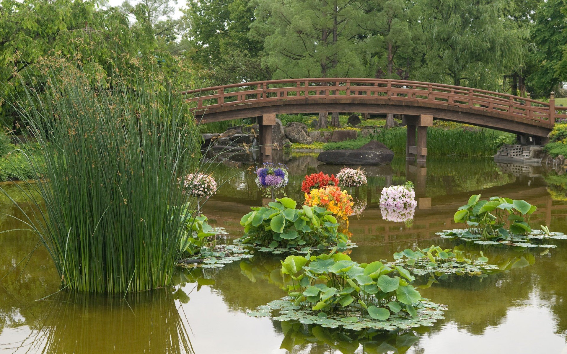 jardins-japonais-idees-plantes-aquatiques-bambous-pont-bois