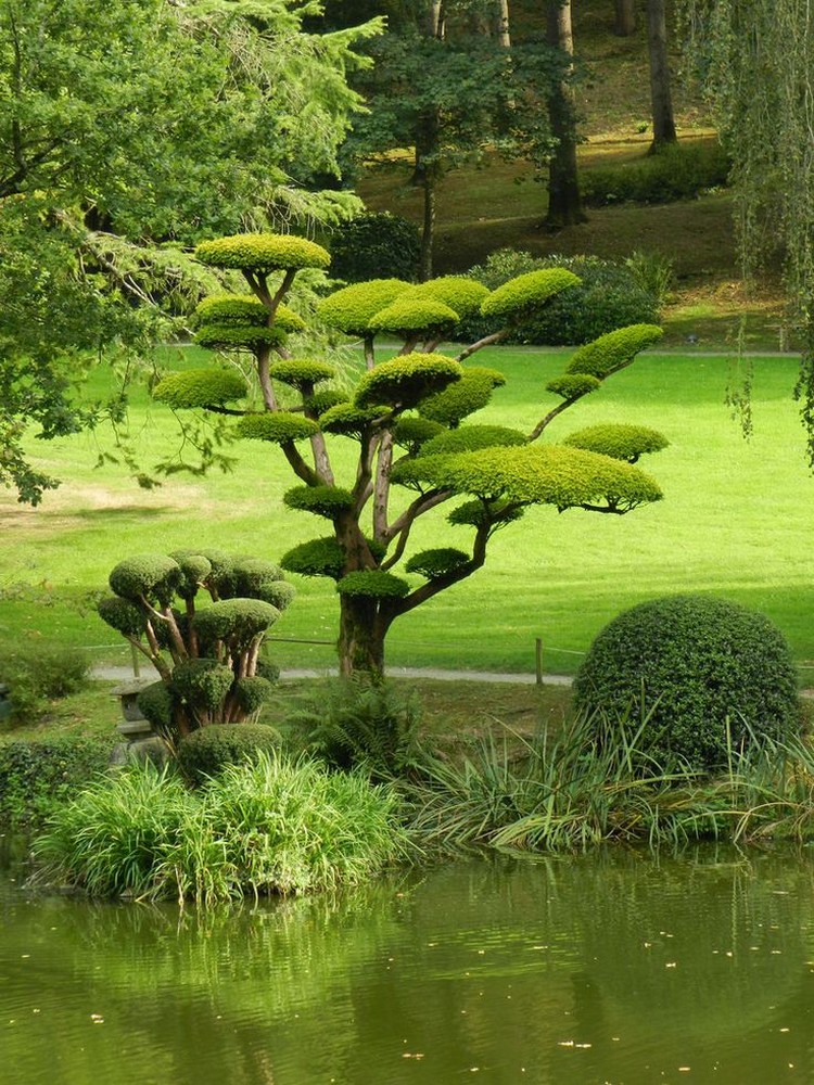 jardins-japonais-parc-maulevrier-bassin-eau-arbres