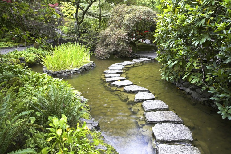jardins-japonais-pas-japonais-bassin-aquatique