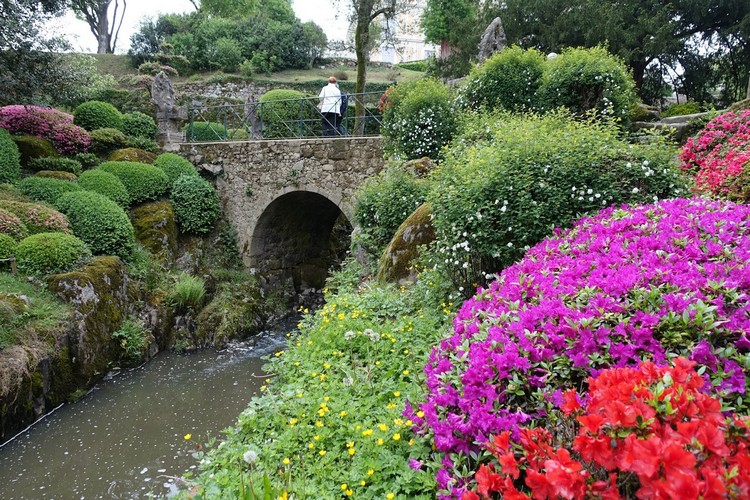 jardins-japonais-vue-maulevrier-fleurs-bassin-eau