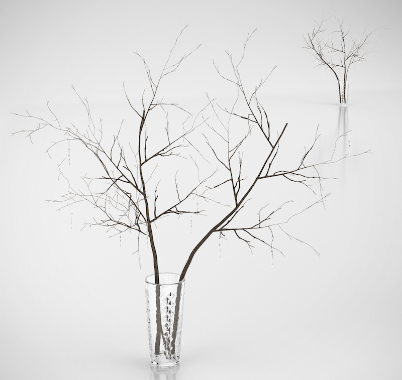 branche de bois déco minimaliste-vases-verre-transparent