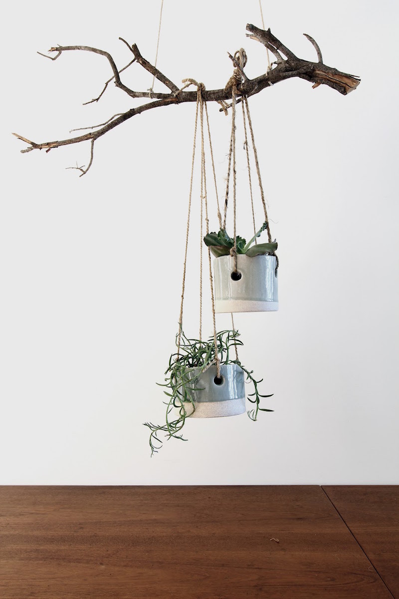 branche-bois-déco-suspendue-plafond-porte-plantes-original