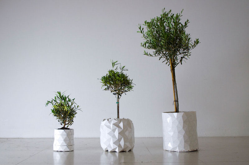 comment-planter-olivier-pot-plastique-géométrique-effet-origami