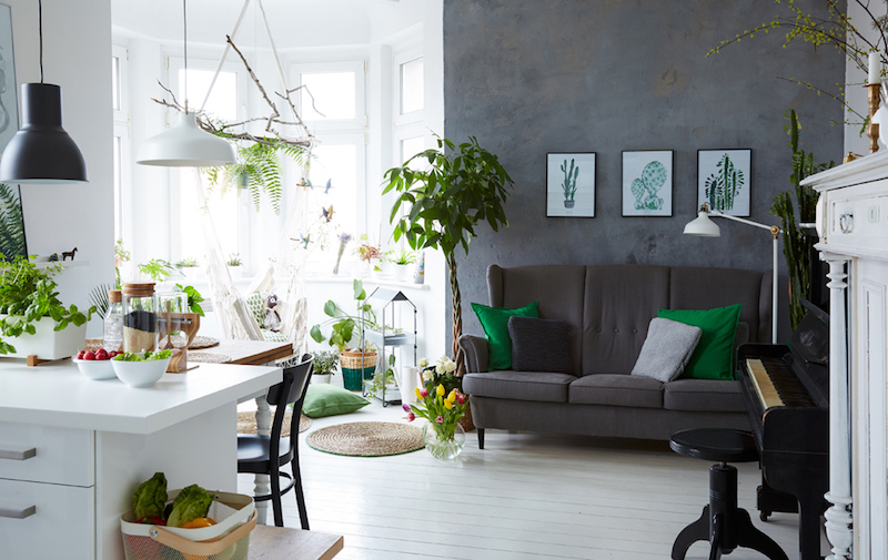 cuisine + salon Ikea décorée de verdure abondante avec fenetre en saillie cuisine-ouverte-salon-Ikea-décorée-verdure-abondante-fenetre-saillie