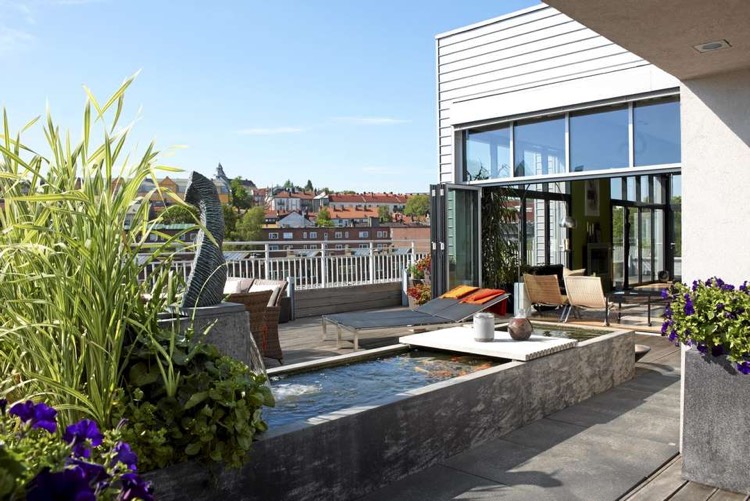 bassin de jardin moderne avec poissons et plantes aquatiques en guise de déco terrasse appartement deco terrasse appartement-bassin-jardin-béton-poissons-plantes-aquatiques