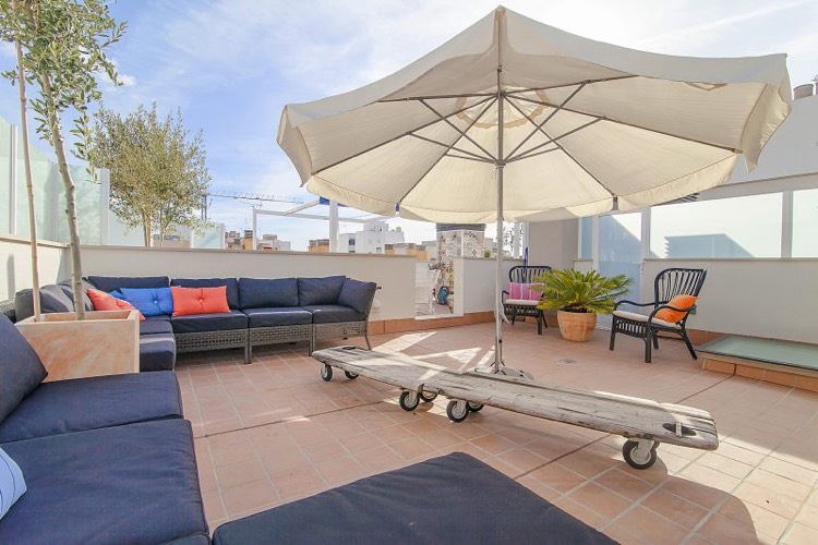 déco de terrasse méditerranéenne avec un carrelage en terre cuite et des oliviers en pots deco terrasse appartement-méditerranéenne-oliviers-pots-carrelage-terre-cuite