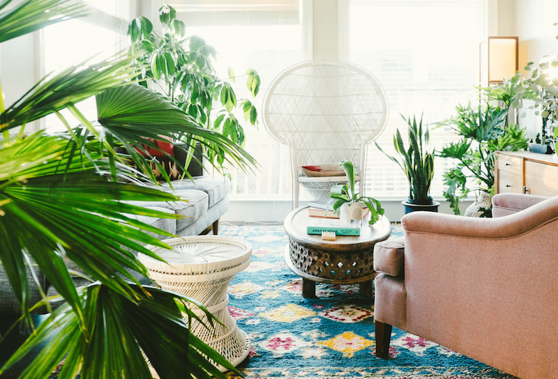 fauteuil-Emmanuelle-blanc-guéridon-design-assorti-palmiers-verdure