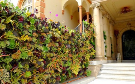 construire mur vegetal exterieur-concept-simple-poches-feutre-plantes-succulentes