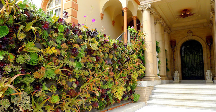 construire mur vegetal exterieur-concept-simple-poches-feutre-plantes-succulentes