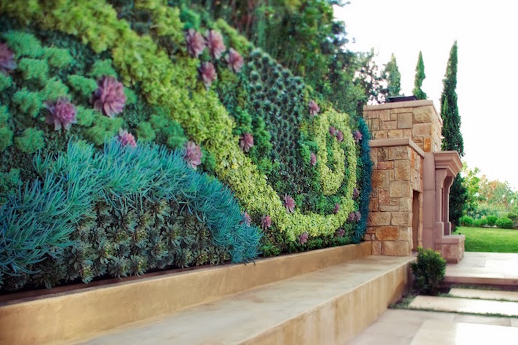 construire mur vegetal exterieur-déco-clôture-jardin-plantes-grasses-motifs-géométriques