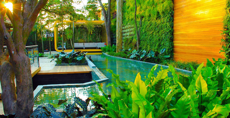 construire mur vegetal exterieur-jardin-avec-piscine-pergola-moderne