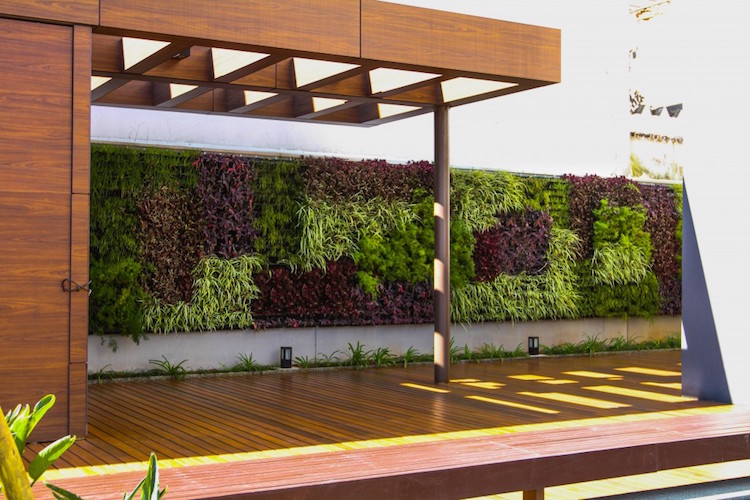 construire mur vegetal exterieur-moderne-design-géométrique-terrasse-bois-pergola-bois