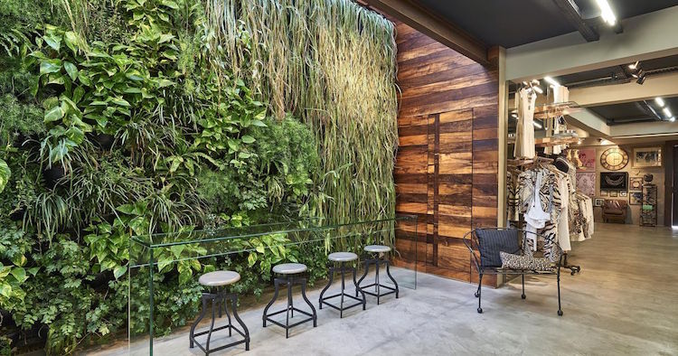 construire mur vegetal exterieur-moderne-graminées-ornementales-bar-verre-terrasse-béton