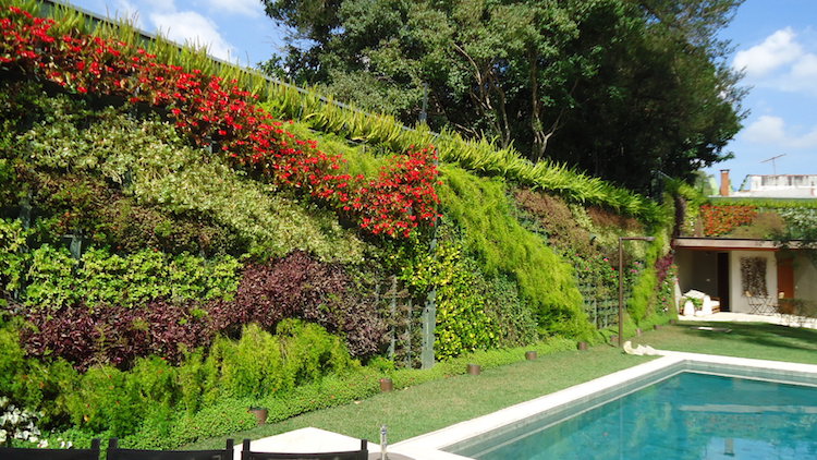 construire mur vegetal exterieur-modules-plastique-alvéolés-plantes-vertes-fleurs