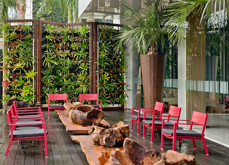 construire mur vegetal exterieur-modules-plastique-design-moderne-déco-terrasse-table-basse-live-edge