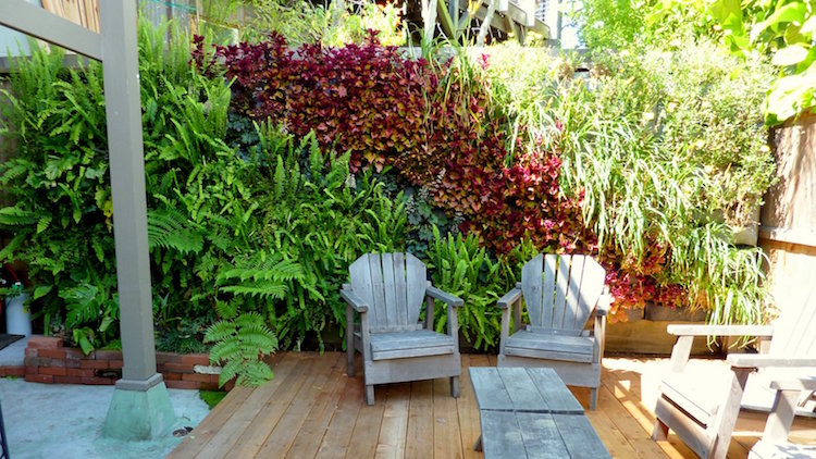 construire mur vegetal exterieur-style-au-naturel-fougères-graminées-ornement-chaises-adirondack