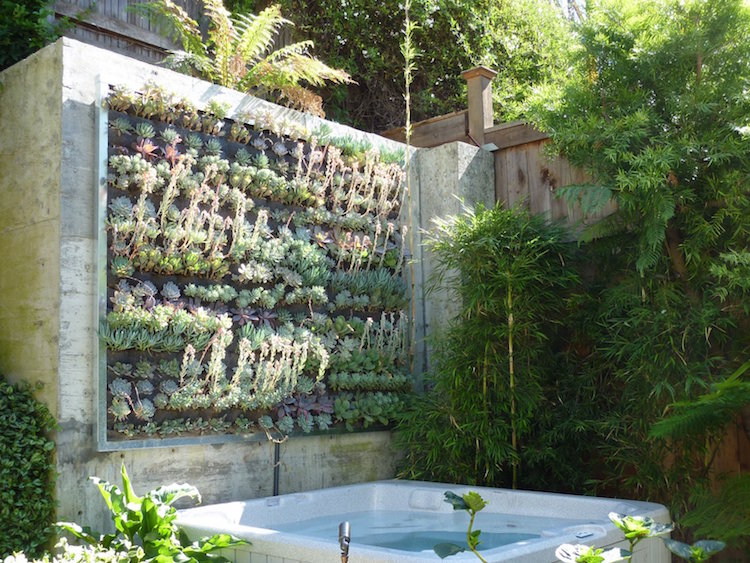 construire mur vegetal exterieur-style-minimaliste-clôture-béton-brut-mur-végétalisé-succulentes
