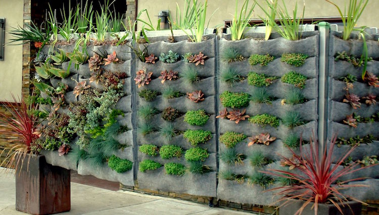 construire mur vegetal exterieur-support-feutre-poches-plantes-grasses