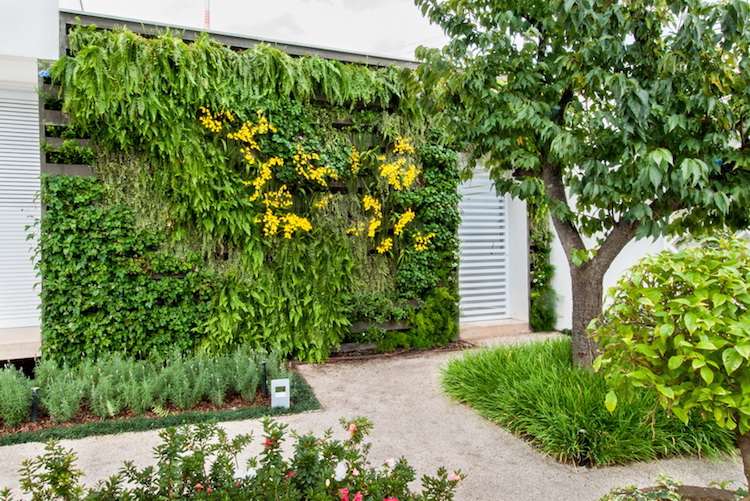 construire mur vegetal exterieur-support-palettes-bois-idée-déco-jardin-écolo